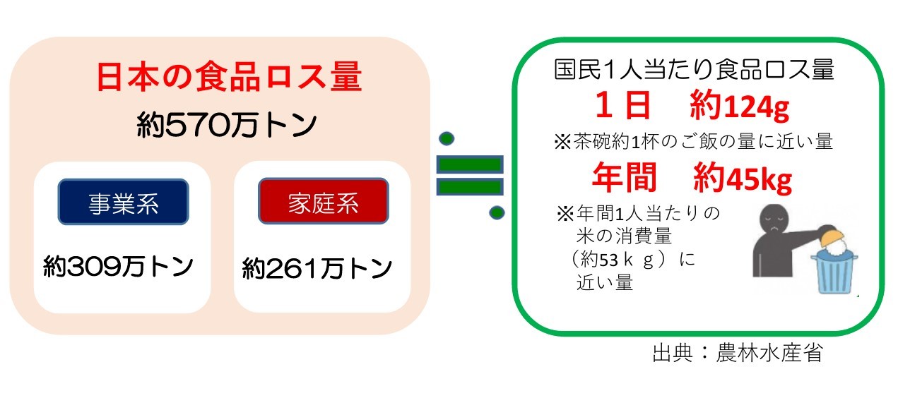 国内の食品ロス量