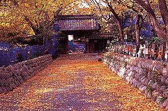 写真：一乗寺