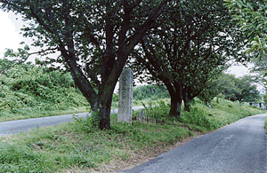 写真：坂井の道標と辻地蔵