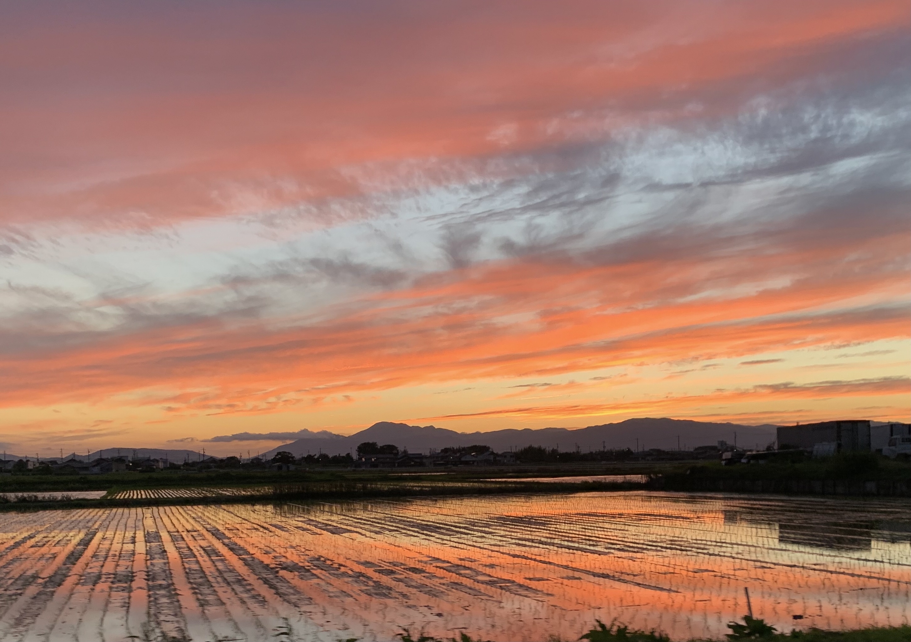 夕映え