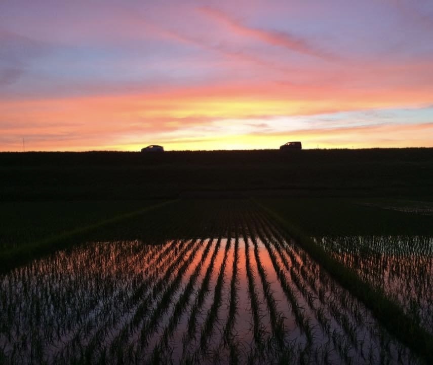 市南部の夕焼け