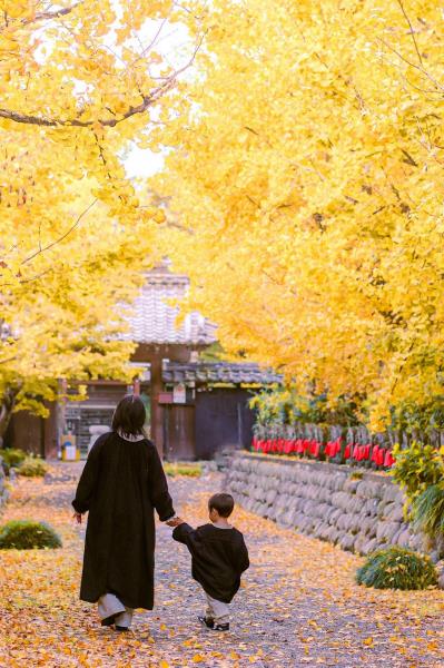 一条寺