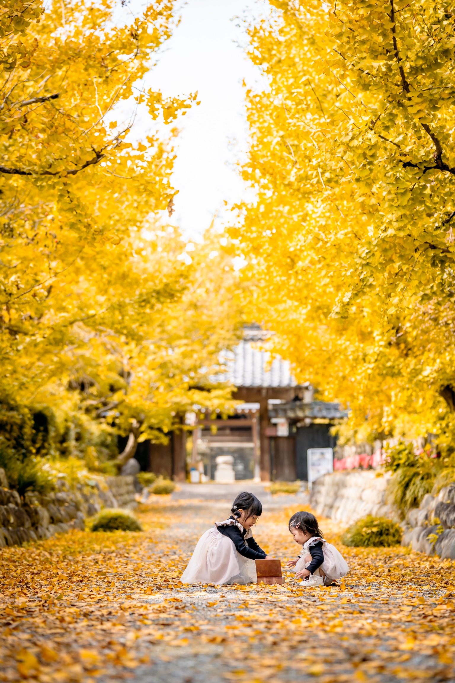 一条寺