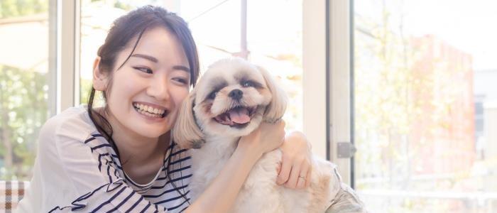 ペットと過ごすイメージ
