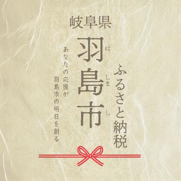 岐阜県羽島市ふるさと納税