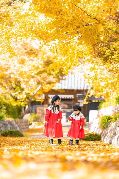 キイロに染まる小さな物語